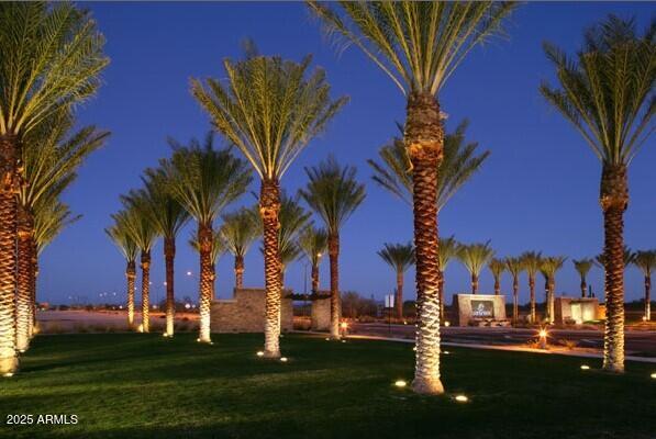 4108 N 304th Ln, Buckeye, AZ 85396 - yard at twilight with a yard