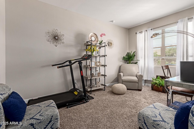 4108 N 304th Ln, Buckeye, AZ 85396 - workout room with carpet floors and baseboards