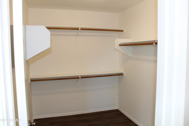 walk in closet featuring dark wood-type flooring