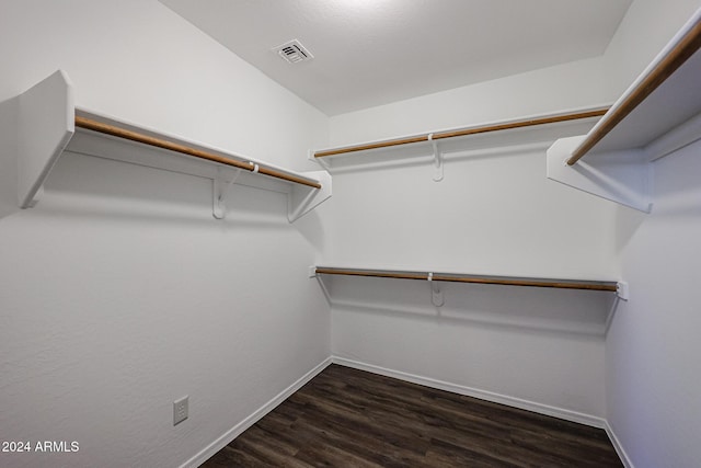 41208 W Bravo Dr, Maricopa, AZ 85138 - walk in closet with dark wood-style floors