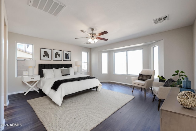 41208 W Bravo Dr, Maricopa, AZ 85138 - bedroom featuring multiple windows, baseboards, and dark wood finished floors