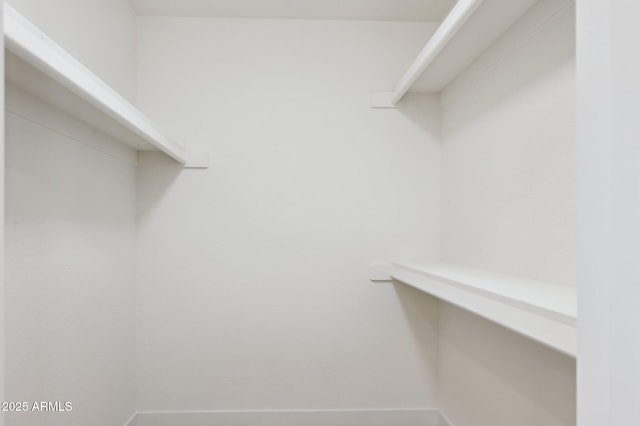 view of walk in closet