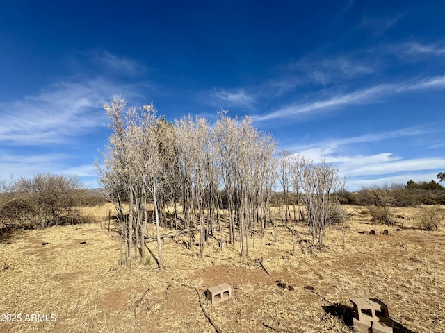 Listing photo 2 for TBD5-ACRE W Willys Run Unit C, Bisbee AZ 85603