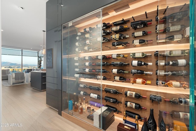 wine area with floor to ceiling windows and light hardwood / wood-style flooring