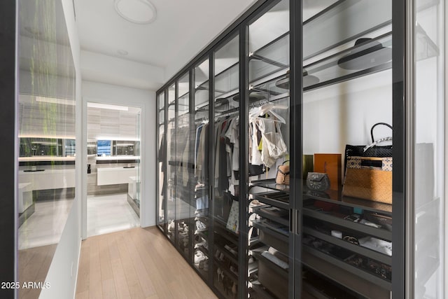 mudroom featuring wood-type flooring