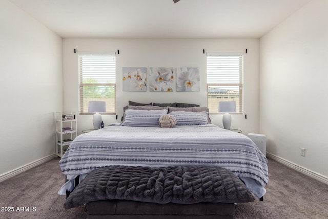 10454 W Maya Way, Peoria, AZ 85383 - bedroom with baseboards, carpet floors, and multiple windows