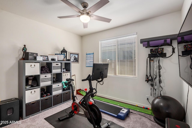10454 W Maya Way, Peoria, AZ 85383 - exercise area with a ceiling fan and carpet floors