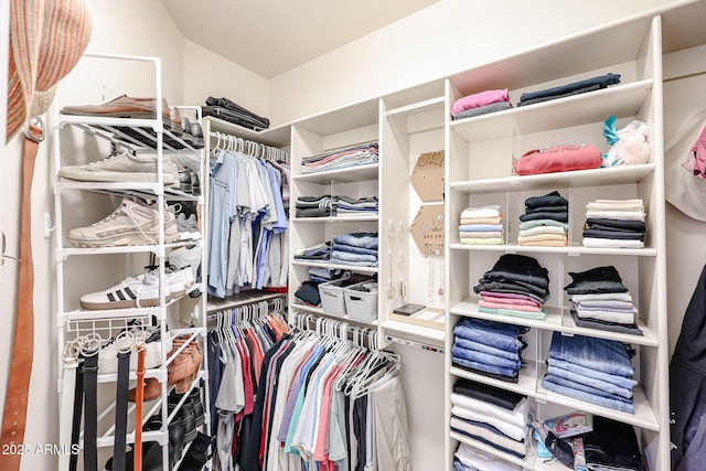 5350 E Deer Valley Dr Unit 2246, Phoenix, AZ 85054 - walk in closet with lofted ceiling