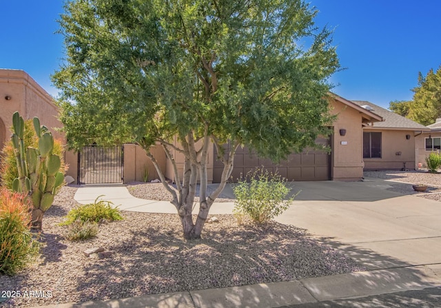 view of front of house featuring concrete driveway, an attached garage, a gate, and stucco siding