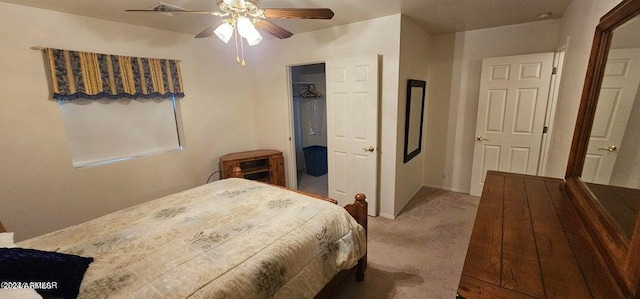 bedroom with a spacious closet, a closet, ceiling fan, and carpet floors