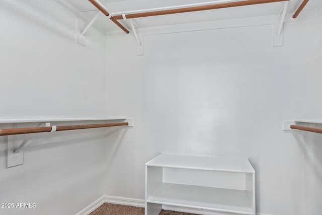 walk in closet featuring carpet flooring