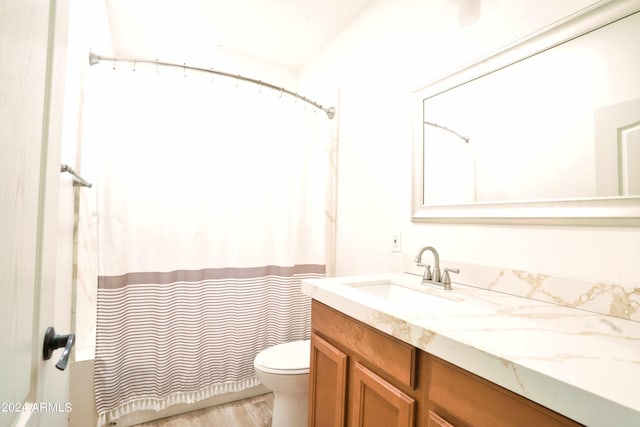 bathroom with vanity, toilet, and wood-type flooring