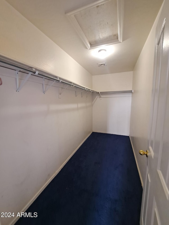 walk in closet featuring carpet floors