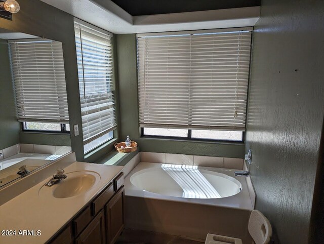 bathroom featuring a bath to relax in, a wealth of natural light, and vanity