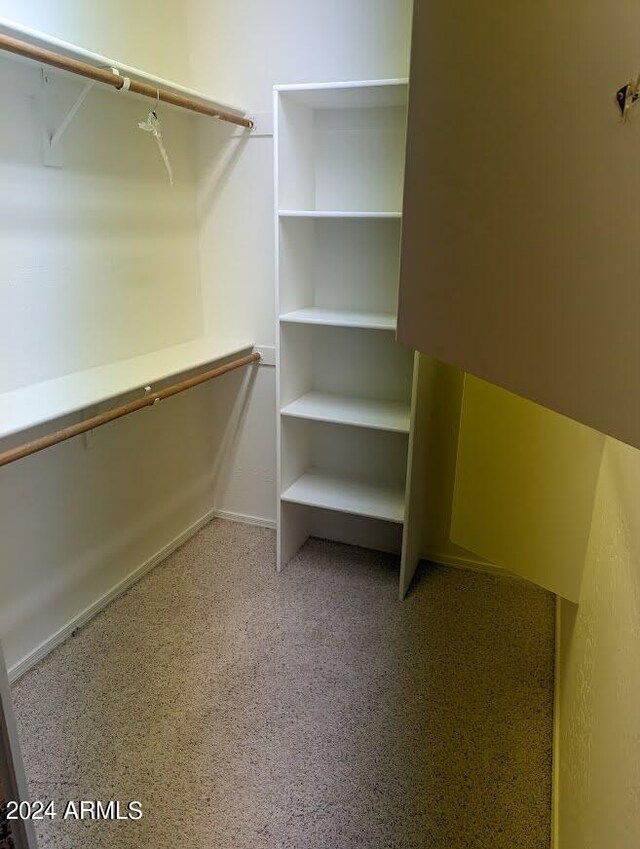 walk in closet featuring carpet flooring