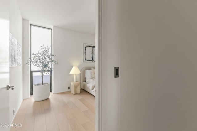 interior space featuring a wall of windows and light wood-type flooring