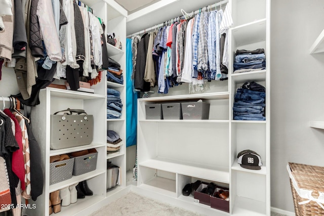 view of spacious closet