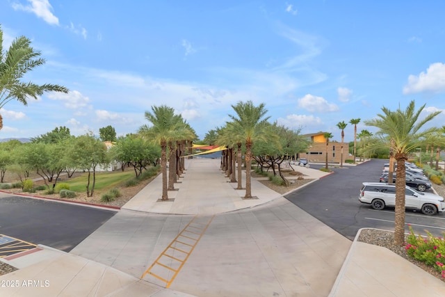 10650 E Palladium Dr, Mesa, AZ 85212 - view of asphalt road with sidewalks