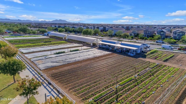10650 E Palladium Dr, Mesa, AZ 85212 - aerial view of extensive farmland and a mountain backdrop
