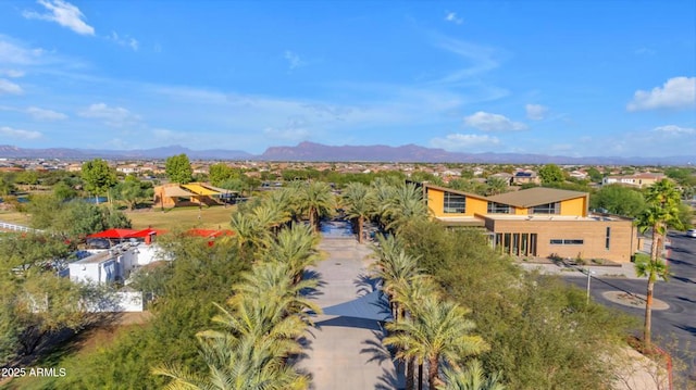 10650 E Palladium Dr, Mesa, AZ 85212 - aerial view of mountains