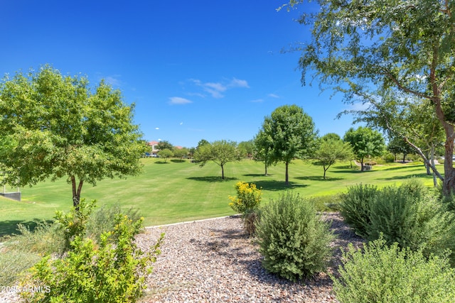 10650 E Palladium Dr, Mesa, AZ 85212 - view of property's community featuring a lawn