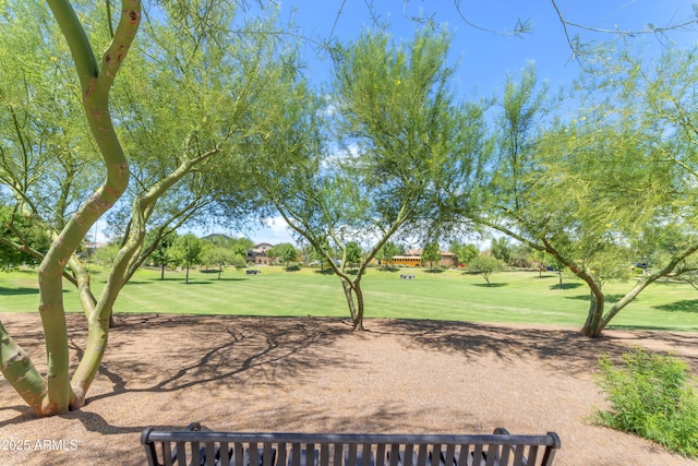 10650 E Palladium Dr, Mesa, AZ 85212 - view of green lawn