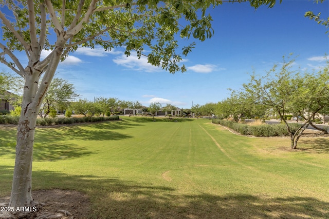 10650 E Palladium Dr, Mesa, AZ 85212 - view of community with a yard and view of golf course