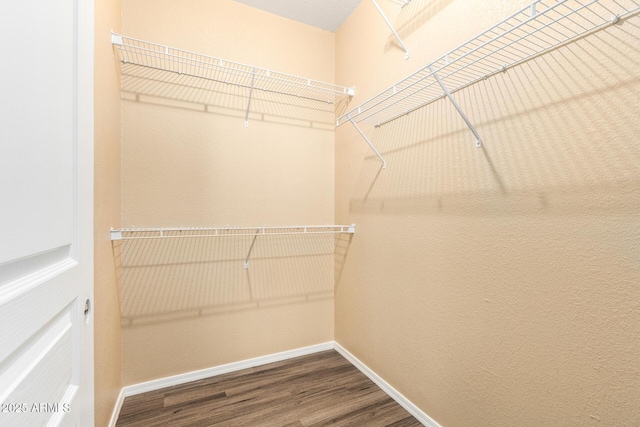 1941 S Pierpont Dr Unit 1099, Mesa, AZ 85206 - walk in closet with wood finished floors