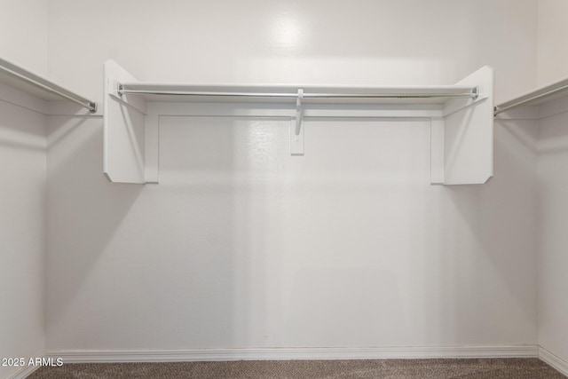 7324 S 254th Dr, Buckeye, AZ 85326 - spacious closet with carpet