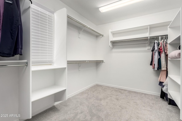 10956 E Thunderbolt Ave, Mesa, AZ 85212 - walk in closet with carpet flooring