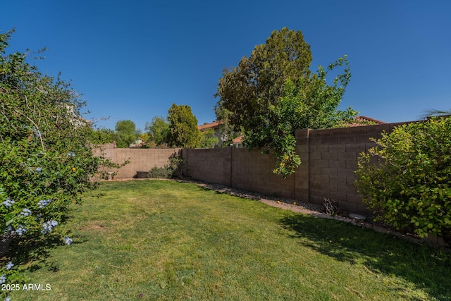 view of yard with a fenced backyard