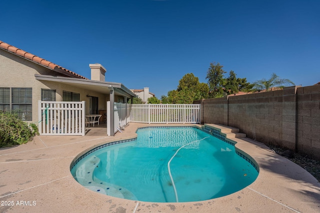 view of pool featuring a fenced in pool, a fenced backyard, and a patio area