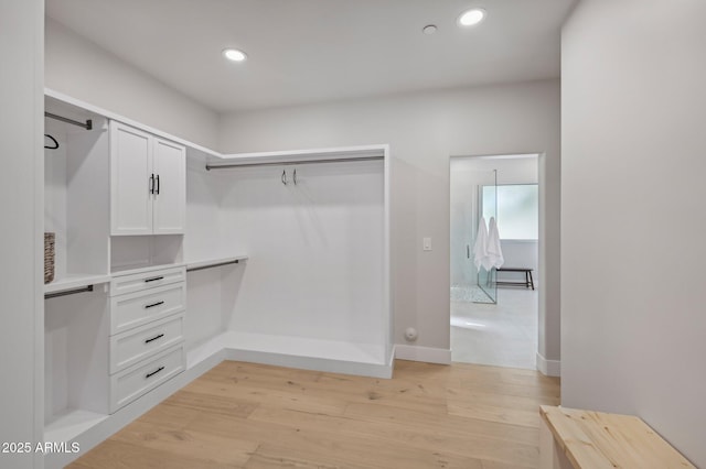 spacious closet featuring light hardwood / wood-style flooring