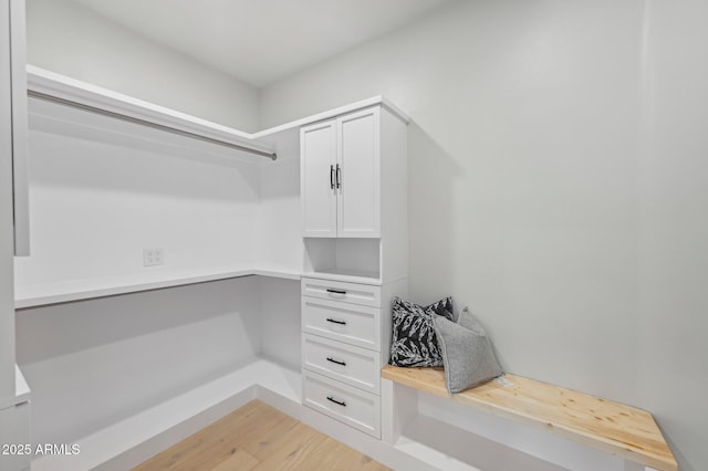 walk in closet featuring light wood-type flooring