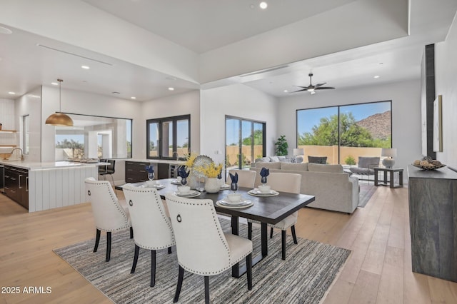 dining area with sink, ceiling fan, and light hardwood / wood-style floors