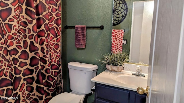 bathroom with toilet and vanity