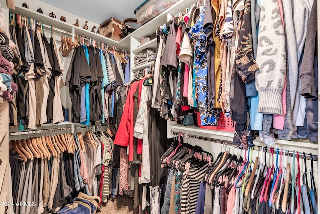 view of spacious closet