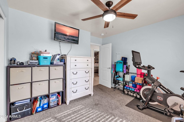 workout room with ceiling fan and carpet floors