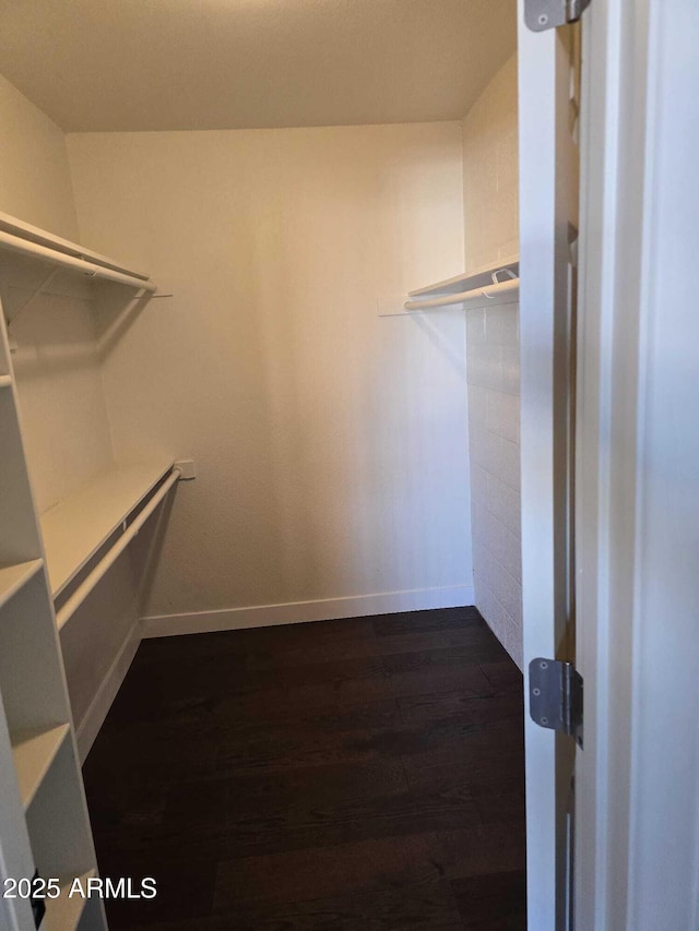 spacious closet featuring dark wood-type flooring