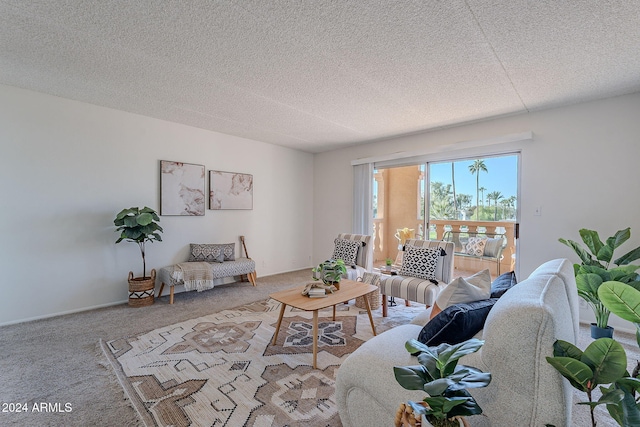 living room featuring carpet floors and a textured ceiling