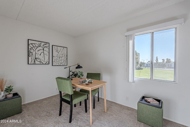 office area with carpet flooring and a textured ceiling