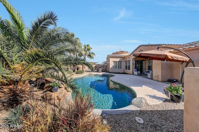 view of pool featuring a patio