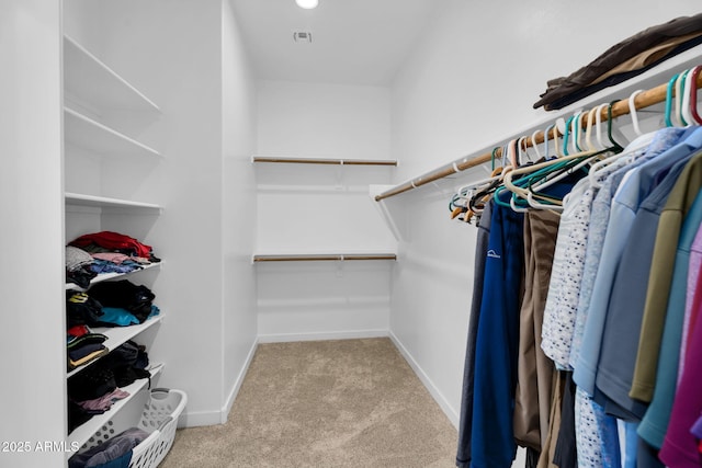 3913 W Mcneil St, Laveen, AZ 85339 - spacious closet featuring carpet flooring