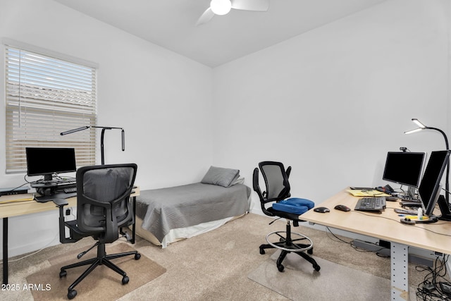 3913 W Mcneil St, Laveen, AZ 85339 - bedroom with a ceiling fan and carpet floors