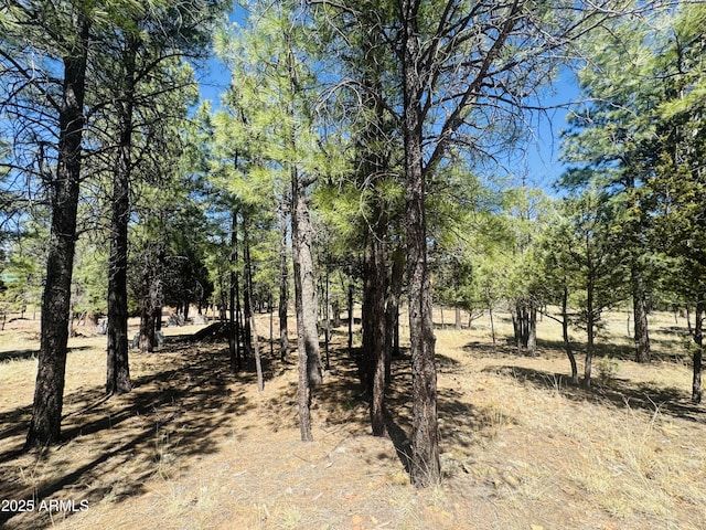 2627 San Juan Dr, Happy Jack, AZ 86024 - view of nature