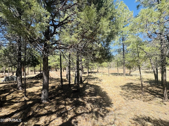 2627 San Juan Dr, Happy Jack, AZ 86024 - view of local wilderness