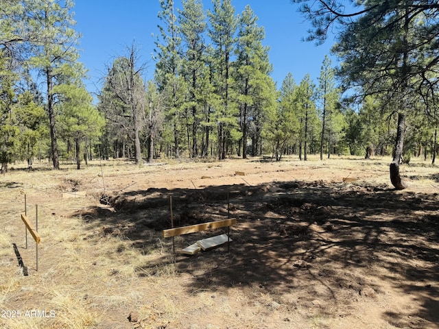 2627 San Juan Dr, Happy Jack, AZ 86024 - view of wooded area