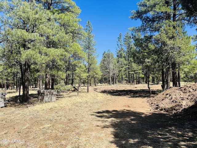 2627 San Juan Dr, Happy Jack, AZ 86024 - view of undeveloped land
