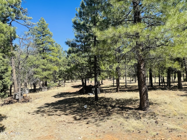 2627 San Juan Dr, Happy Jack, AZ 86024 - view of undeveloped land