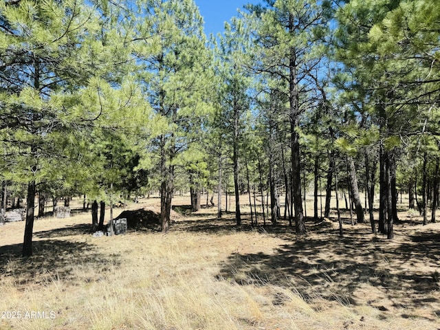 2627 San Juan Dr, Happy Jack, AZ 86024 - view of local wilderness